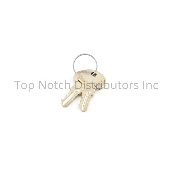 Dormakaba Simplex 201422000 Pack of 2 Keys DF-5 Sparrow Supply
