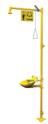 Bradley S19314EWZ Combination, Eyewash, Plastic Bowl, BSPP Sparrow Supply