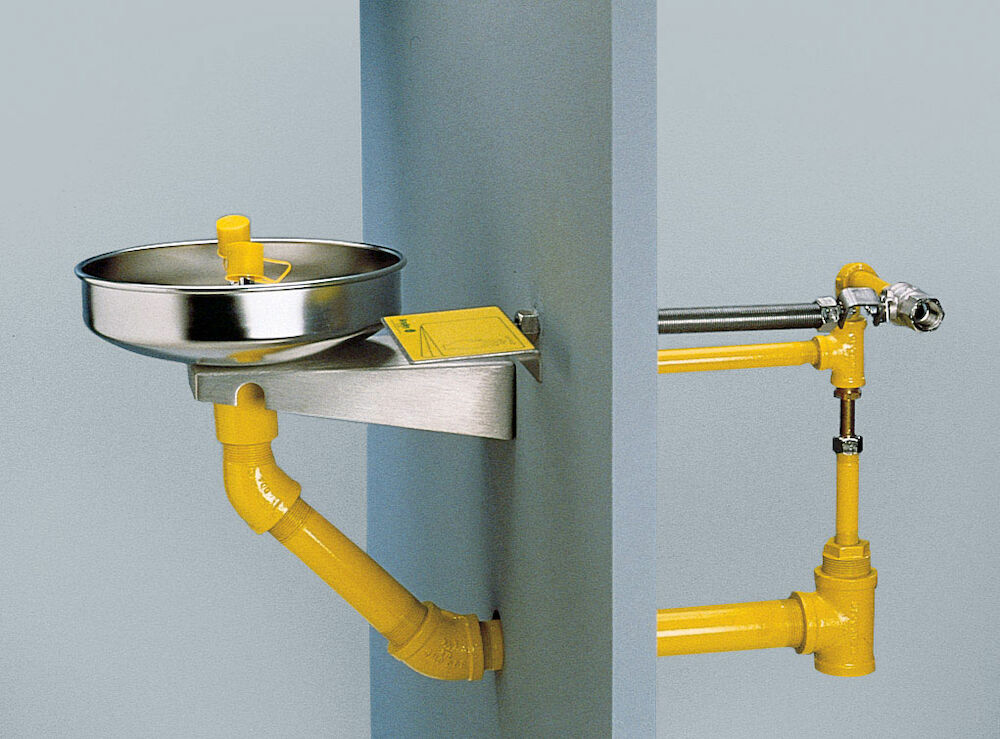 Bradley S19-220HFP12 Frost Proof Eyewash, 12" Wall Mount Sparrow Supply