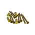 Ives Commercial 09355605 Steel Sex Bolts for Letter Box Plates Bright Brass Finish Sparrow Supply