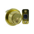 Schlage Commercial B561P605 Grade 2 Cylinder by Blank Plate Deadbolt with C Keyway with 12287 Latch and 10094 Strike Bright Brass Finish Sparrow Supply