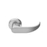 Falcon W101SRQ626 W Series Passage Quantum Lever Small Rose Lock with 30206 Latch 30148 Strike Satin Chrome Finish Sparrow Supply