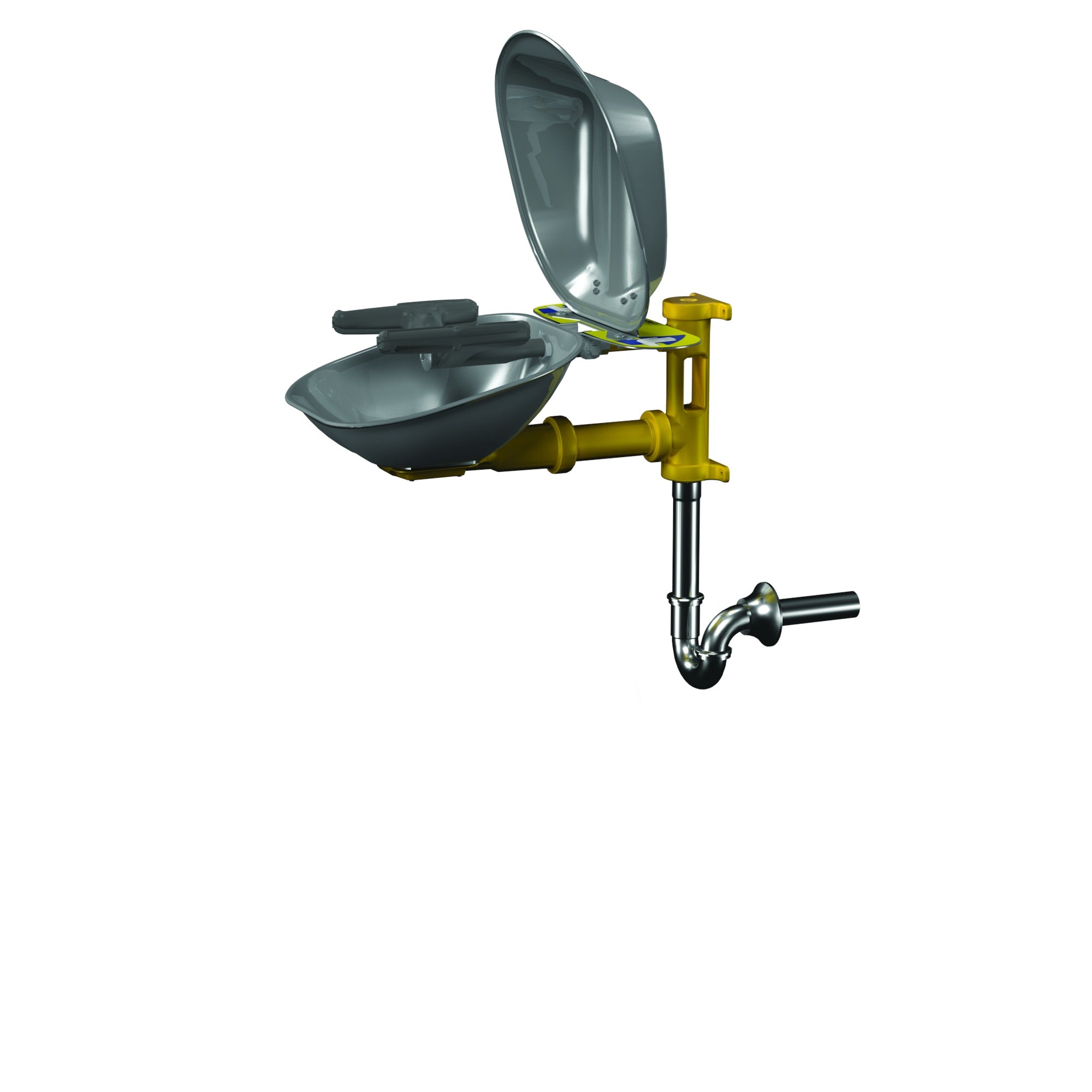 Bradley S19224DCRPT Wall-Mounted Eye/FW, SS Bowl & Cover, P-Trap Sparrow Supply